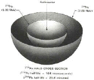 214 Polonium Halo Cross Section (22k)