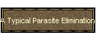 A Typical Parasite Elimination Program