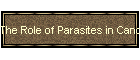 The Role of Parasites in Cancer